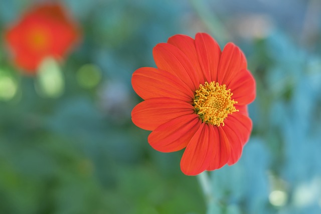 中衛馬奎爾恢復訓練 能出戰克羅地亞.