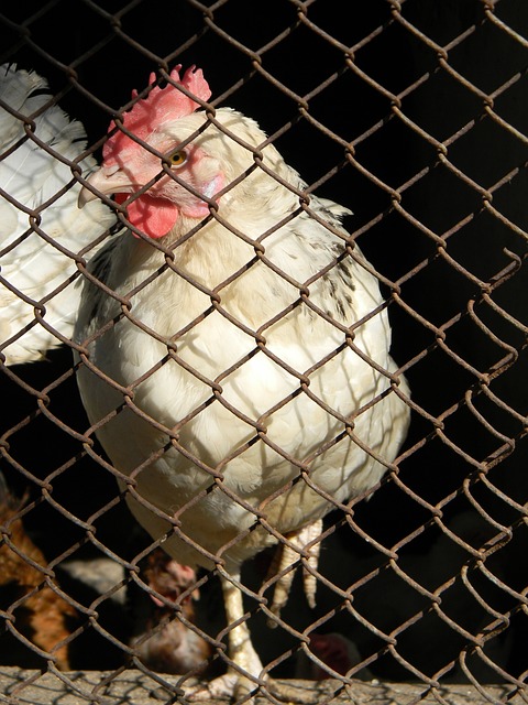 中超精彩對決 成都蓉城大勝亞泰 帕拉西奧斯上演帽子戲法.