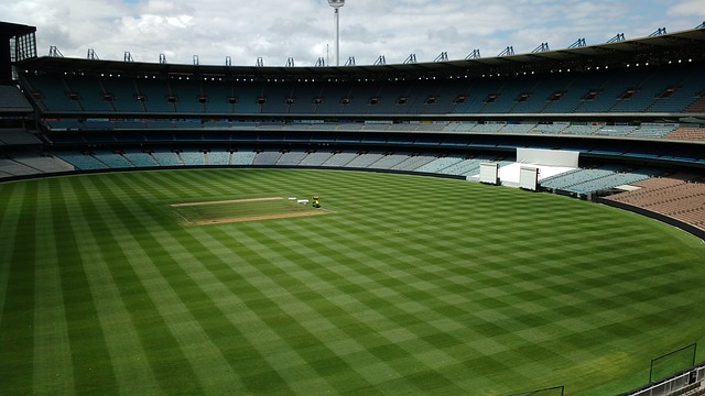 葡萄牙黄金一代领袖，C罗的老大哥，菲戈被奉为足坛石路天尊！.